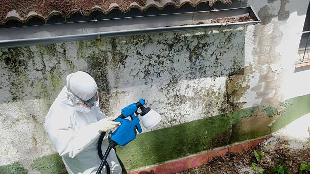 Top rated local Attic Mold Remediation specialists in Glen Burnie, MD